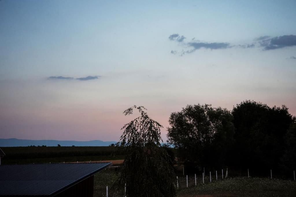 Вілла Wohnwagon Paul - Autarkie Erleben! - Tiny House Oberschneiding Екстер'єр фото